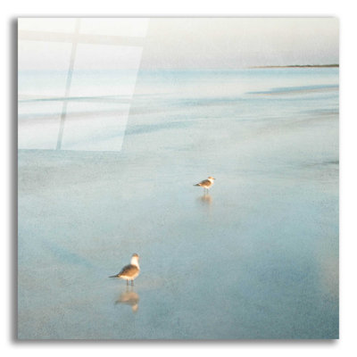 Deux oiseaux sur la plage