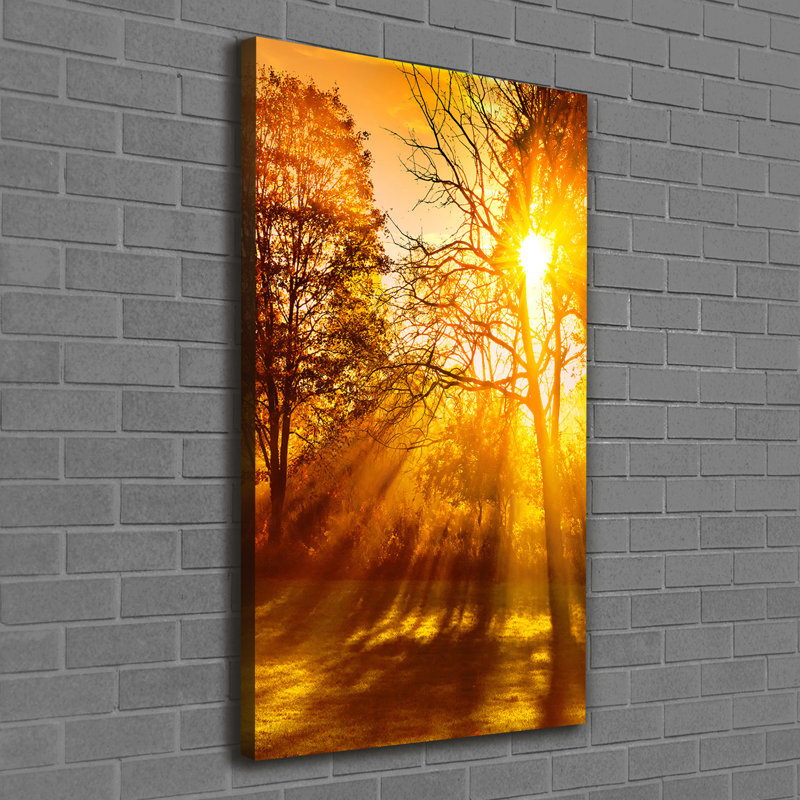 Park In The Fall - Wrapped Canvas Print, 120cm H x 60cm W