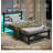 Beige;Brown Bed-1373029848-1373029851