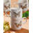 Torgerson Ceramic Coffee Mug