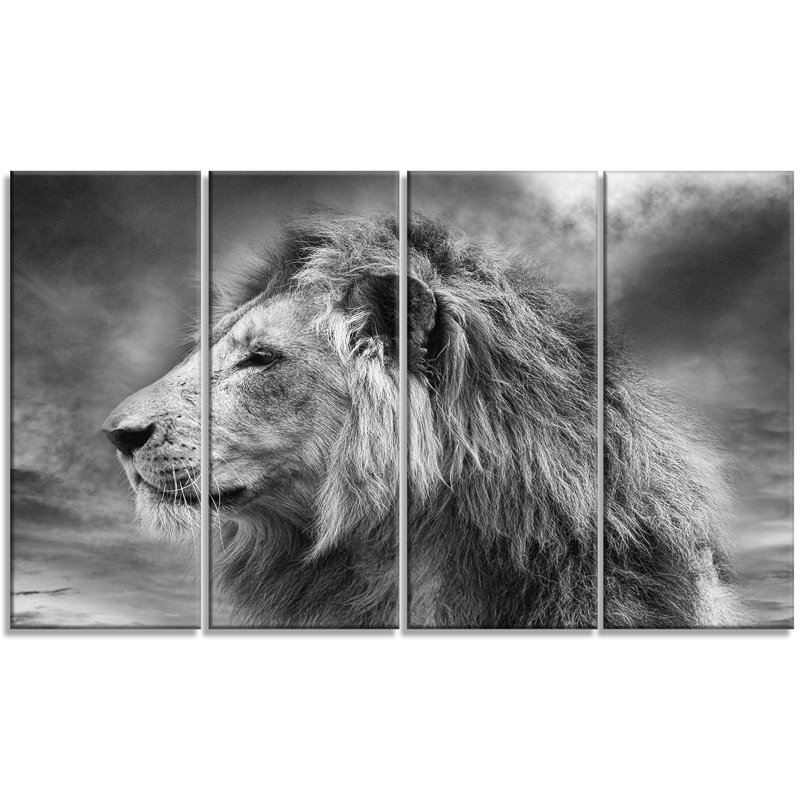 « gray wild africain lion », reproduction de photo à multiples images sur toile