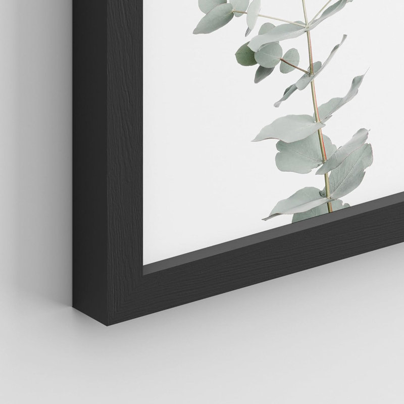" Pastel Botanical Plant Collage Garden Nature Wilderness " 8 - Pieces, Black, 10" H x 8" W x 1" D