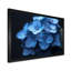 Nirvana bleu, bleu, hortensia, art mural-337178048-337178066