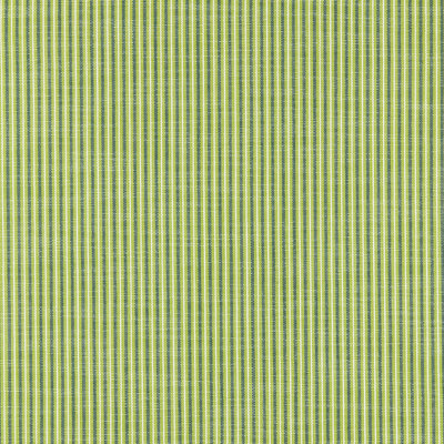 Chatham Tisbury Stripe Fabric