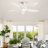 Dainius 60'' Ceiling Fan with LED Lights-1186083665