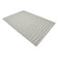 Striped Area Rug in Silver-64487139