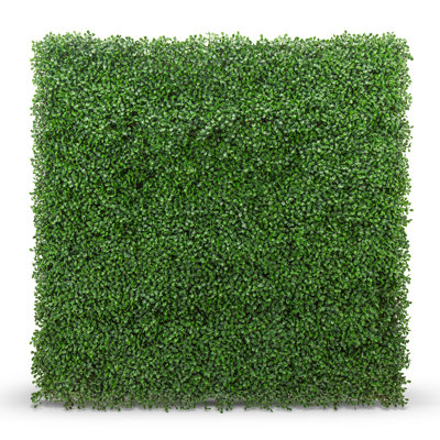 2 ft. H x 2 ft. W Polyethylene Privacy Screen