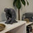 Jordann Statues & Sculpture for Home Decor - Decorative Objects for Kitchen or Living Room Decorations, 16"  