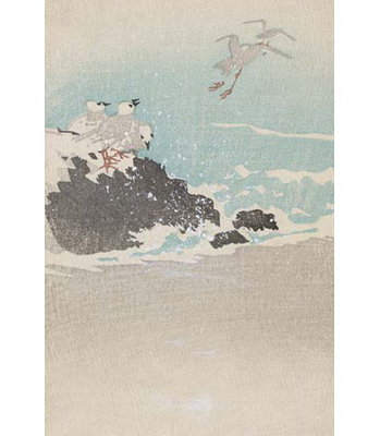 " Plovers Over Waves "