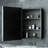 Cyrille Recessed & Surface Framed Medicine Cabinet with Mirror and Shelves-860957889-819396606