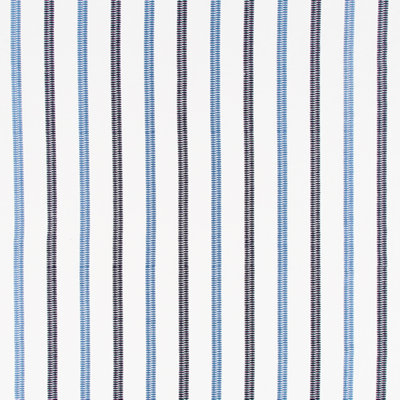 Festival Color Fabric