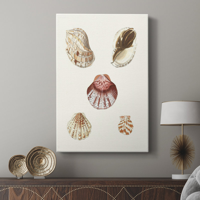 Coquillages pastel en coquille Knorr, H 48 po x l 32 po
