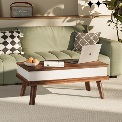 Brierra Lift Top Coffee Table with Storage