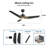 3 - Blade LED Smart Ceiling Fan with Light-91062340-101830622