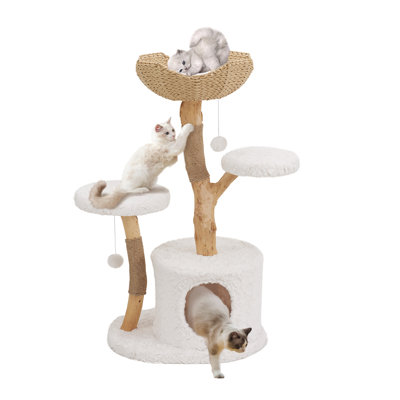 Tour pour arbre à chat moderne Tucker Murphy Pet ™ pour petits et grands chats