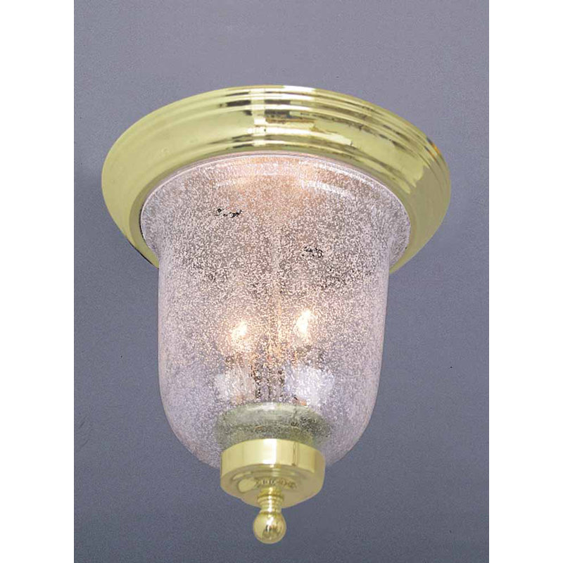 Lanark 2-Light Indoor Polished Brass Ceiling Mount Fixture with Clear Seedy Glass Bell Shade, Polished Brass