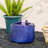 Jaici Weather Resistant Sculptural Fountain with Light-797131088