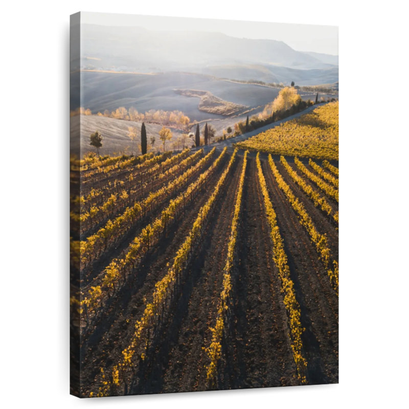 Vignoble italien, H 39 po x l 26 po