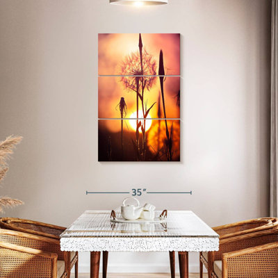 Harnek Dandelions At Sunset