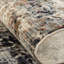 Lightfoot Abstract Area Rug in Ivory/Gray-1704707824