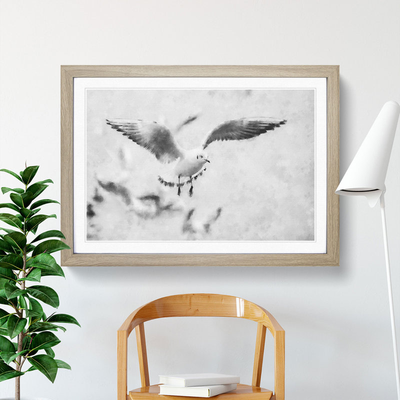 Seagull Birds - Picture Frame Graphic Art, Oak Framed, 36cm H x 48cm W x 2cm D