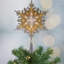 13.75'' Plants & Flowers Lighted Tree Topper