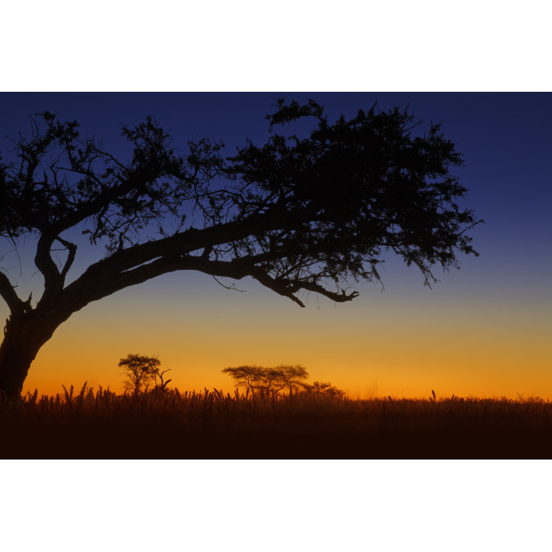 Sunrise In Africa by LucynaKoch - Wrapped Canvas Print, 61cm H x 91cm W