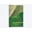 «Leaves I», impression sur toile-33083169-72224055-72224056