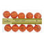 Ensemble de lumières de basketball d'intérieur / extérieur UL 9 lumières Kurt Adler, 9 pi