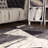 Abstract Indoor Rug-1091234769