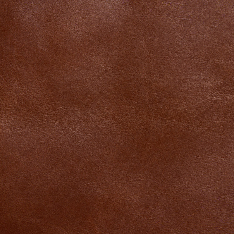 Brielle Leather Dining Chair