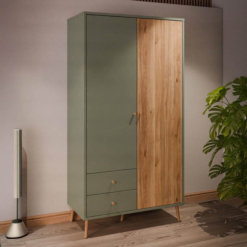 HARLLSON 2 Door Manufactured Wood Wardrobe, Green/Brown