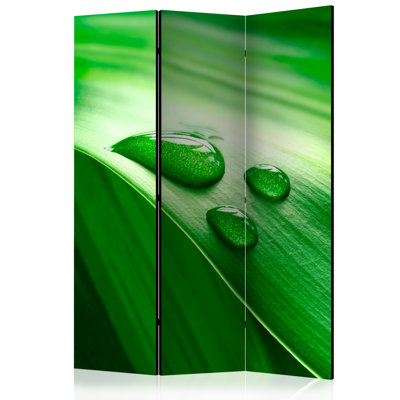 Nerseh 172cm H Folding Room Divider