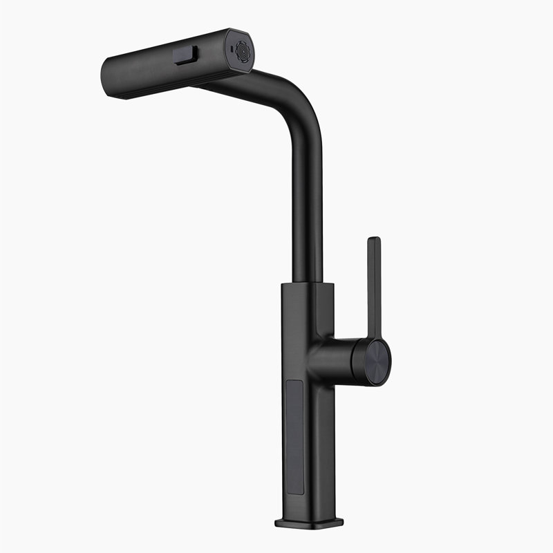 Single Handle Kitchen Faucet with Accessories, Black