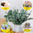 12 Pcs Large Dried Eucalyptus & Silver Dollar Leaves Bundle - Natural Real Fresh Eucalyptus, 17" Preserved Eucalyptus Branches For Shower Hanging, Bathroom Decor, Garland, Greenery Plant (12)-613750968