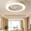 Ceiling Fan with LED Lights