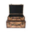 2 Piece Decorative World Map Suitcase Set