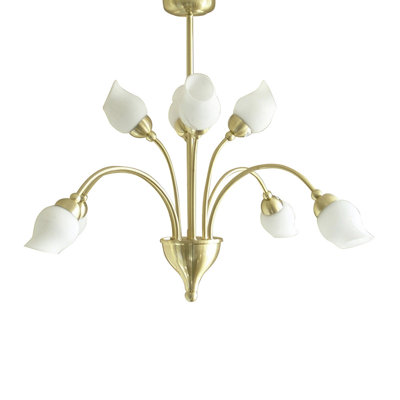 Kissinger 8 - Light Shaded Chandelier