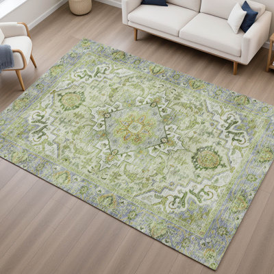 Premium Machine Washable Mayfield AMF2163 global Rug