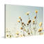 1 Piece Wrapped Canvas Wall Art-563762716