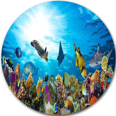" Colorful Coral Reef With Fishes "