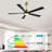 Leresa 60'' Ceiling Fan with LED Lights-458441613