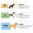 Elevated Dog Bed Frame for Pet Beds-56547130-56547132