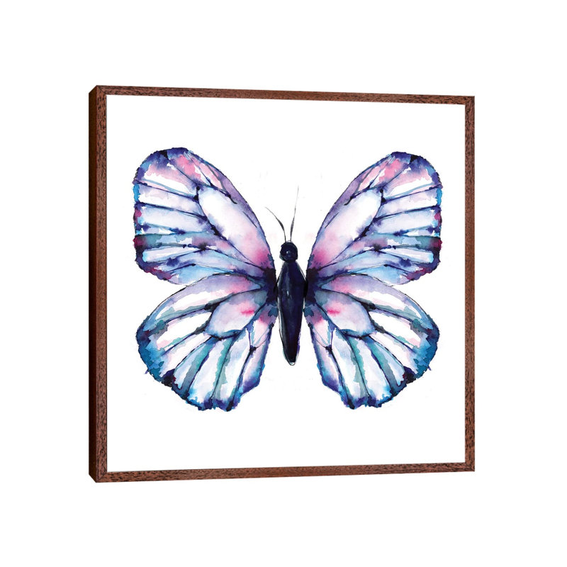 Butterfly Iridescent by Sara Berrenson - Print on Canvas, 66.04 cm H x 66.04 cm W, Classic Brown Wood Framed