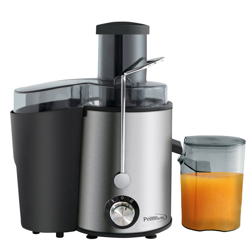 Premium Stainless Steel Electric Juicer with Variable Speed and Pulp Receptacle