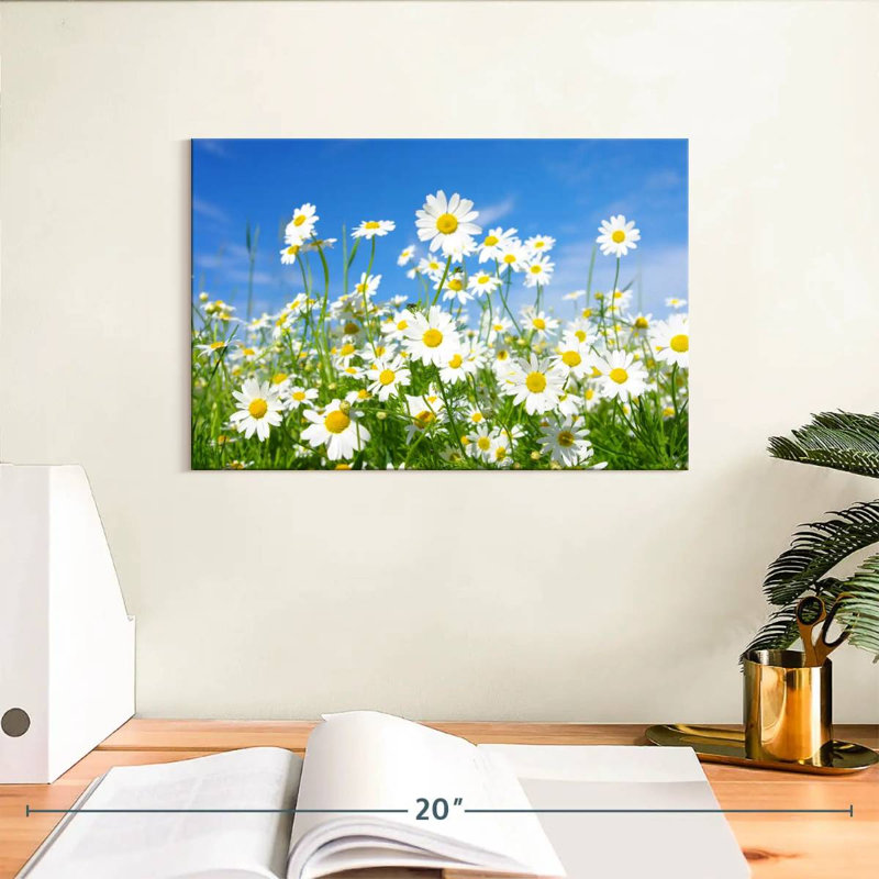 Alvord Daisies On A Sunny Day, H 8 po x l 12 po