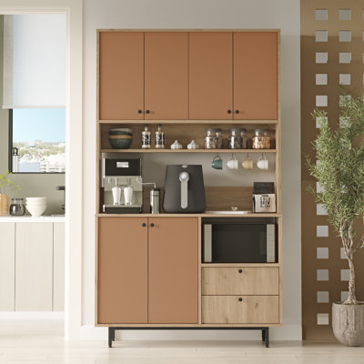 Armoire polyvalente Colesen