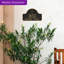 Lexy 2-Line Wall Address Plaque-760879982-760879968
