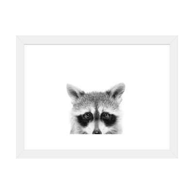 " Peeking Raccoon " by Sisi & Seb