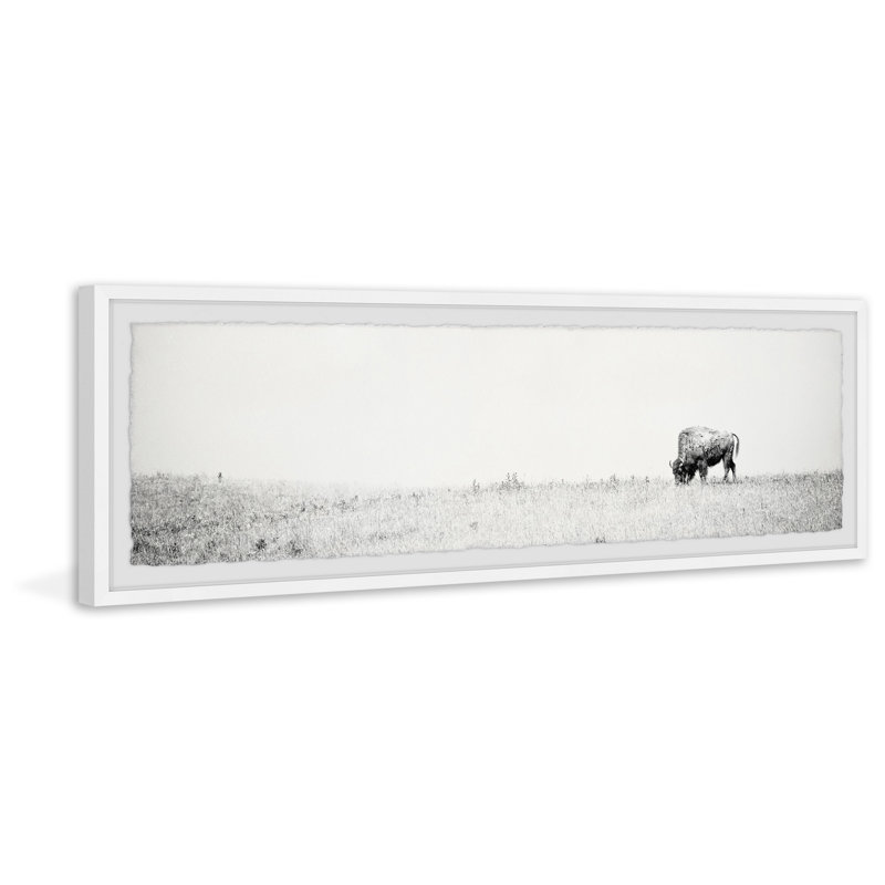 Wild Buffalo - Single Picture Frame Print, 25cm H x 76cm W x 3.81cm D